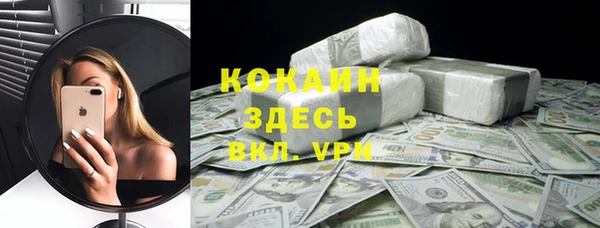 индика Киреевск