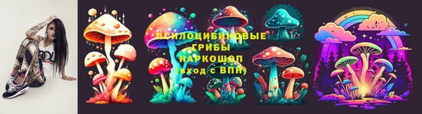 МДПВ Коряжма