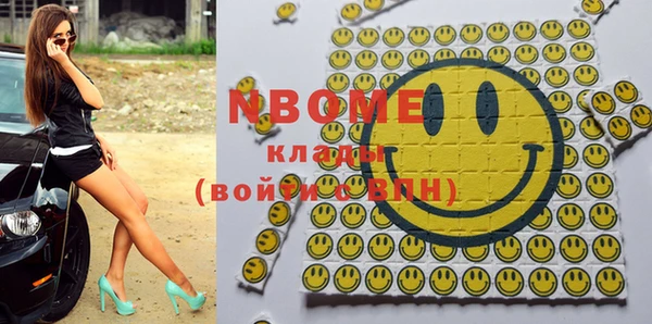 индика Киреевск