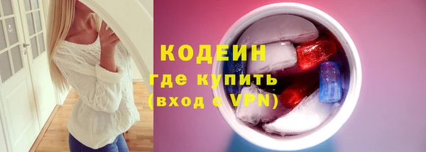 индика Киреевск