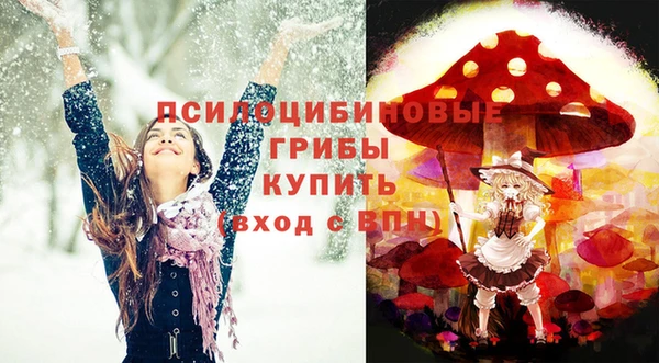 меф Козельск